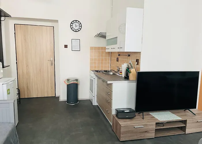 Apartma Luxura * 德辛